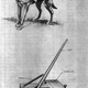 Image for article titled Exploding Dogs Were Used as Mobile Anti-Tank Mines During World War II